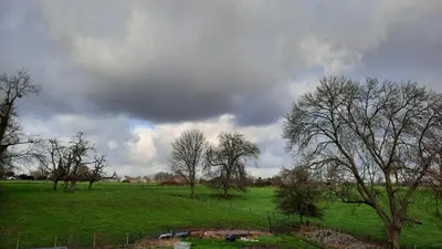 a green field with trees and a cloudy sky at The Kettle House - Manor in Sint-Pieters-Leeuw