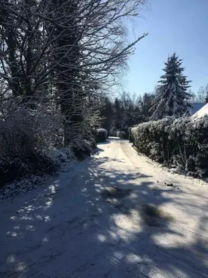 a snow covered road with trees and bushes at Le Petit Chalet avec hottub. in Sint-Gillis-Waas