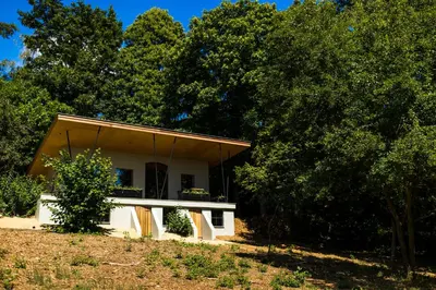 a small white house in the middle of trees at The cabin Morris in Holsbeek