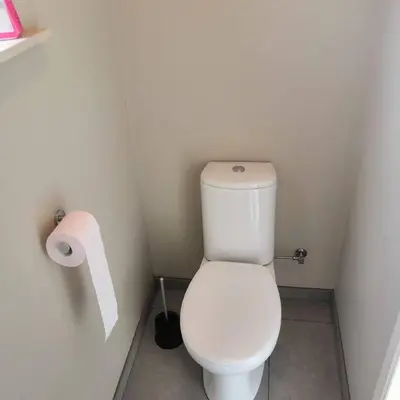 a bathroom with a toilet and a roll of toilet paper at Vakantiewoning Op Den Briel in Lokeren