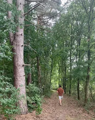 a man walking down a path in the woods at Osbos chalets in Lille