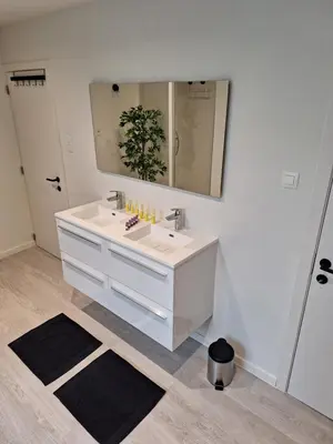 a bathroom with a white sink and a mirror at Huis ALNA 2 in Mechelen