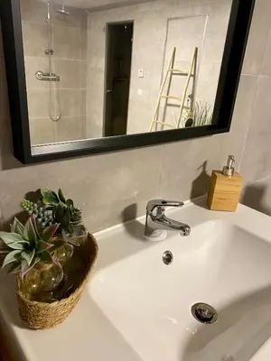 a bathroom sink with a potted plant on it at Superbe logement près de Bruxelles avec spa privé in Brussels