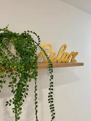 a wooden sign with a plant on a wall at Superbe logement près de Bruxelles avec spa privé in Brussels