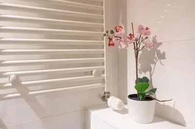a white bathroom with a plant on a shelf at Oneluxstay Antwerp City Centre in Antwerp