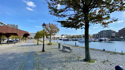 a park with a bench next to a river with boats at Oneluxstay Antwerp City Centre in Antwerp
