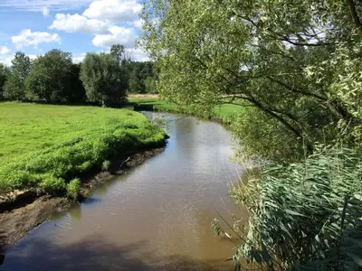 a river in a field next to a green field at B&B De Grote Plaats in Hoogstraten