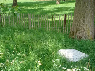 a rock in the grass next to a tree at B&B De Grote Plaats in Hoogstraten