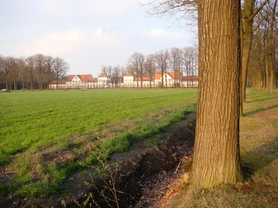 a tree in a field with a building in the background at B&B De Grote Plaats in Hoogstraten