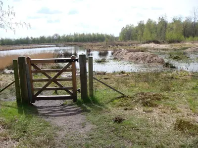 a gate in a field next to a body of water at B&B De Grote Plaats in Hoogstraten