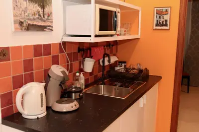 a kitchen counter with a sink and a microwave at B&B Allegra Nova in Ghent