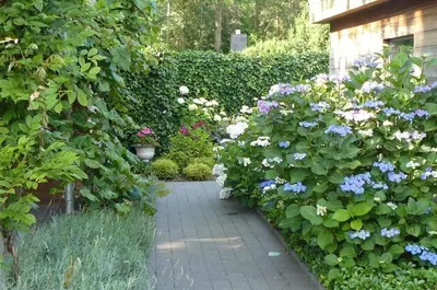 a garden with purple and white flowers and a walkway at Holiday Home and Office Domisi'l in Wachtebeke