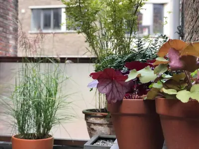 a group of potted plants in pots on a balcony at Giorgio in Antwerp