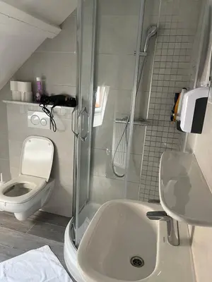 a bathroom with a shower and a sink and a toilet at Au Marolles chambre Atomium in Brussels
