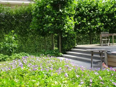 a garden with purple flowers and a table and stairs at B&B Maaltebrug in Ghent