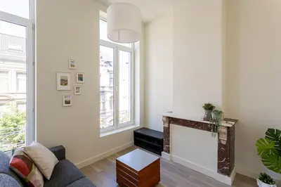 a living room with a fireplace and a couch at Nice furnished appartement AAA- location in Antwerp
