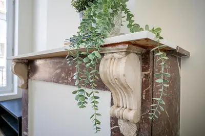 a plant is growing out of a wooden fireplace at Nice furnished appartement AAA- location in Antwerp
