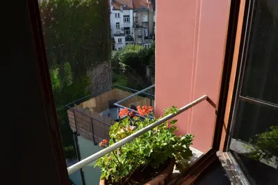 a balcony with two plants and a window at Villa des Roses Voltaire in Brussels