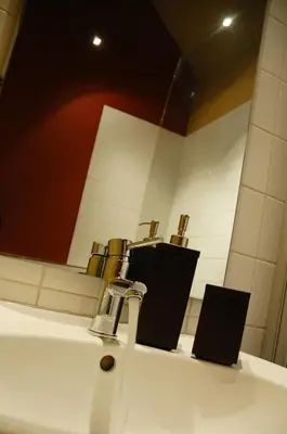 a bathroom sink with a faucet and a mirror at Villa des Roses Voltaire in Brussels