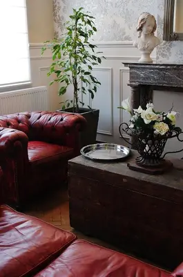a living room with a couch and a fireplace at B&B Avenue Deschanel in Brussels