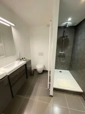 a bathroom with a shower and a toilet and a sink at Cosy flat for 4 p. with garden in Tremelo in Tremelo
