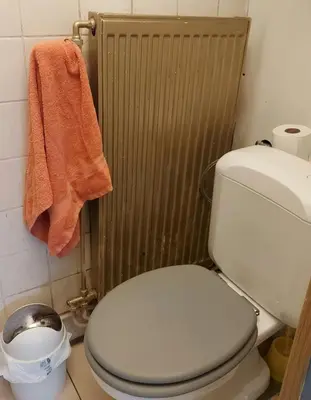 a bathroom with a white toilet and a towel at Belle chambre dans un quartier calme in Brussels