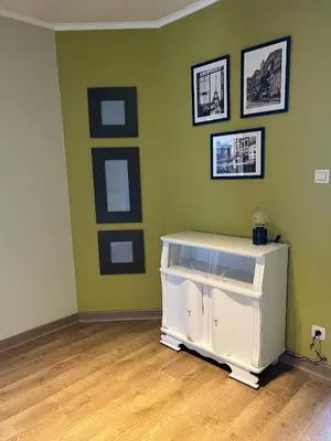 a room with green walls and a white refrigerator at Appartement29 in Wetteren