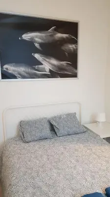 a picture of dolphins on the wall above a bed at B44 appartment in Brussels