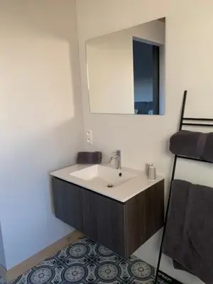 a bathroom with a sink and a mirror at Vélo 94 bij Soof in Geel