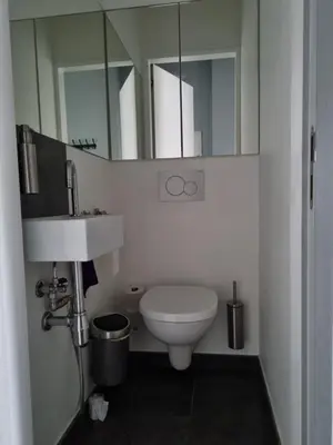 a bathroom with a toilet and a sink and mirror at BB GUESTHOUSE in Wezembeek-Oppem