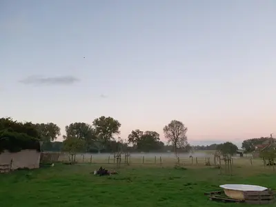 a field with fog in the distance and a field with trees and a fence at B&B Dekorn in Pepingen