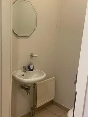 a bathroom with a sink and a mirror at La Clé des Champs in Tervuren