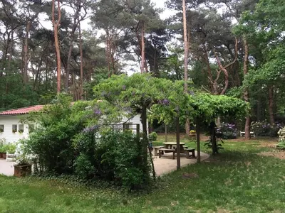 a garden with a picnic table and some bushes at Gierle Garden Bungalow Escape in Lille