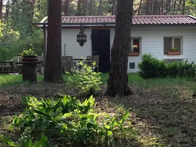 a white house with trees in front of it at Gierle Garden Bungalow Escape in Lille