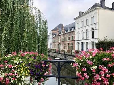 a group of flowers on a canal with buildings at Comic Art Hotel in Ghent