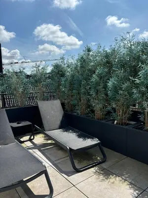 a bench and a chair on a balcony with plants at Comic Art Hotel in Ghent