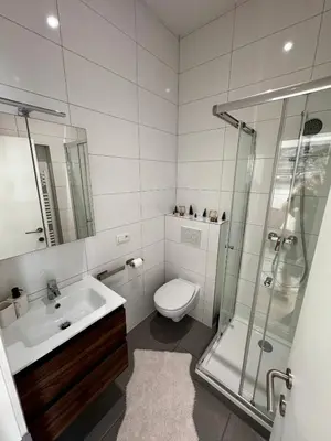 a bathroom with a toilet and a sink and a shower at Cozy South-Up and Ground in Brussels