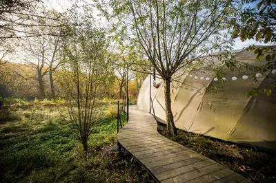 a wooden path through a field with trees at Room8 luxury glamping in Huldenberg