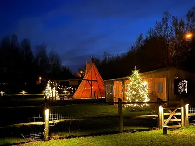 a christmas tree and a barn at night at Cabin Margot with hot tub in private garden in Kaprijke