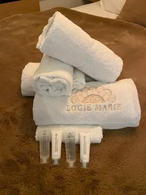 a group of towels and toothbrushes on a table at Cabin Margot with hot tub in private garden in Kaprijke