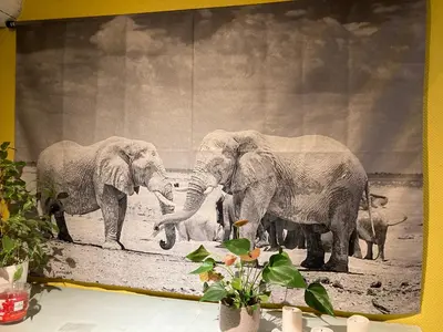 two elephants standing next to each other in a painting at Karibu Keerbergen in Keerbergen