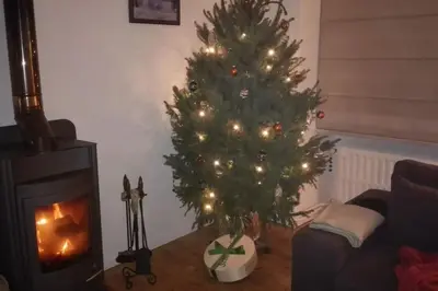 a christmas tree in a living room with a fireplace at charming house with 3 bedrooms & terrace 10 minutes from city centre in Antwerp