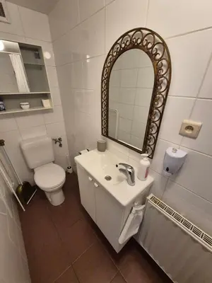 a bathroom with a sink and a toilet and a mirror at Studio équipé Brussels in Sint-Pieters-Leeuw