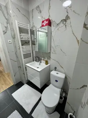 a bathroom with a white toilet and a sink at Appartement 2 chambre luxueuse à jette in Brussels
