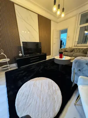 a living room with a couch and a large rug at Appartement 2 chambre luxueuse à jette in Brussels