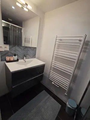 a bathroom with a sink and a shower at Bruxelles ma belge in Brussels