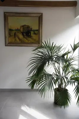 a plant in a pot next to a painting on a wall at Vakantiewoning Den Appel in Dendermonde