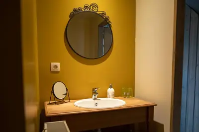 a bathroom with a sink and a mirror at Bed and Breakfast Paellepelhoeve in Ninove