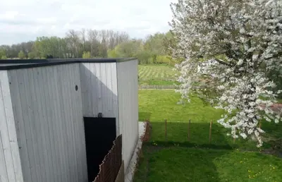 a white shed next to a tree with white flowers at Station 25A in Duffel