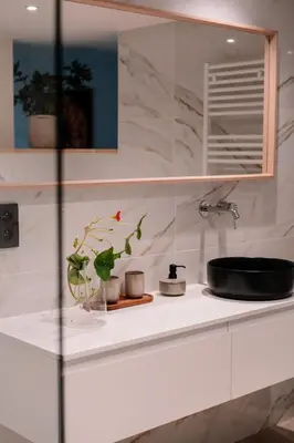 a counter with a sink and some plants on it at Chambres d'hôtes Eucalyptus et Glycine in Genval
